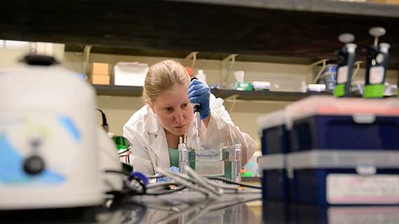Jessica Burket, a Biomedical Sciences PhD student, works in the lab.