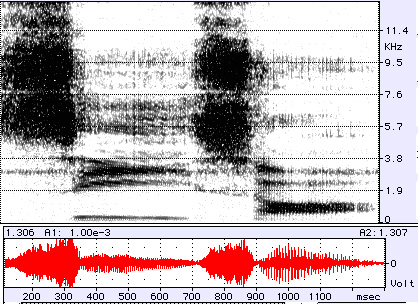 A spectrogram of the sound of someone speaking the word seesaw