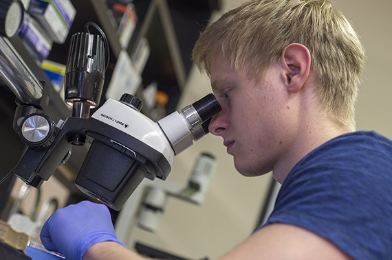 A Biomedical Sciences student studies a sample under the microscope.