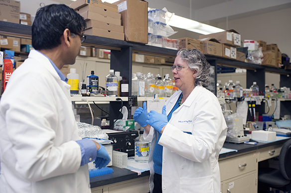 Dr. Julie Kerry converses with an associate in the lab.