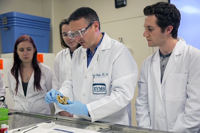 Kerwin Kolheffer, MS shows students organ tissue in a lab.