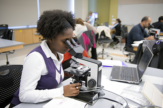A student studies a sample under a microscope.