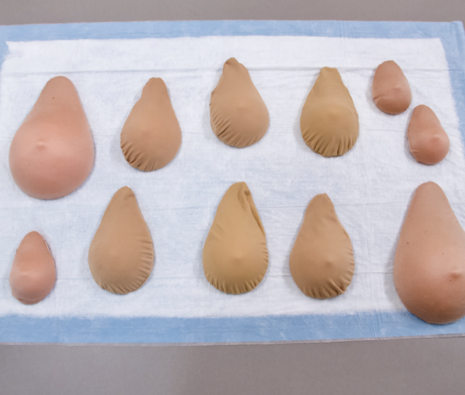 WRS Health EDCO Breast Self Examination Model Set with case
