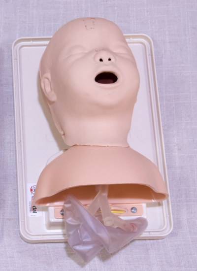 Laerdal Neonatal Intubation Trainer