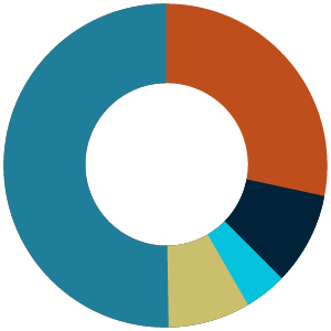 Pie chart with the breakdown of racial demographics