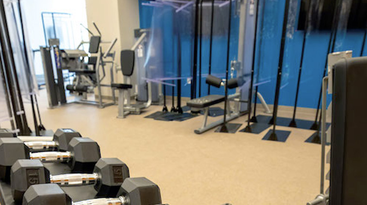 Fitness center that includes dumbbells, as well as other exercise equipment.