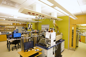 Biomedical Sciences Proteomics
