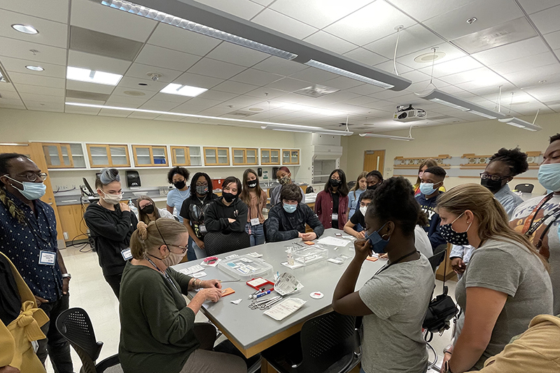 students learn suturing
