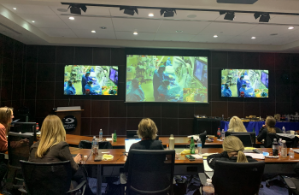 Live Procedure Workshop with Remote Viewing