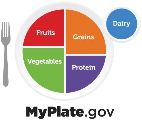 A plate with four color-coded sections. Fruit and protein sections represent about 20% each. Vegetables and Grains represent 40% each. Dairy is also shown.