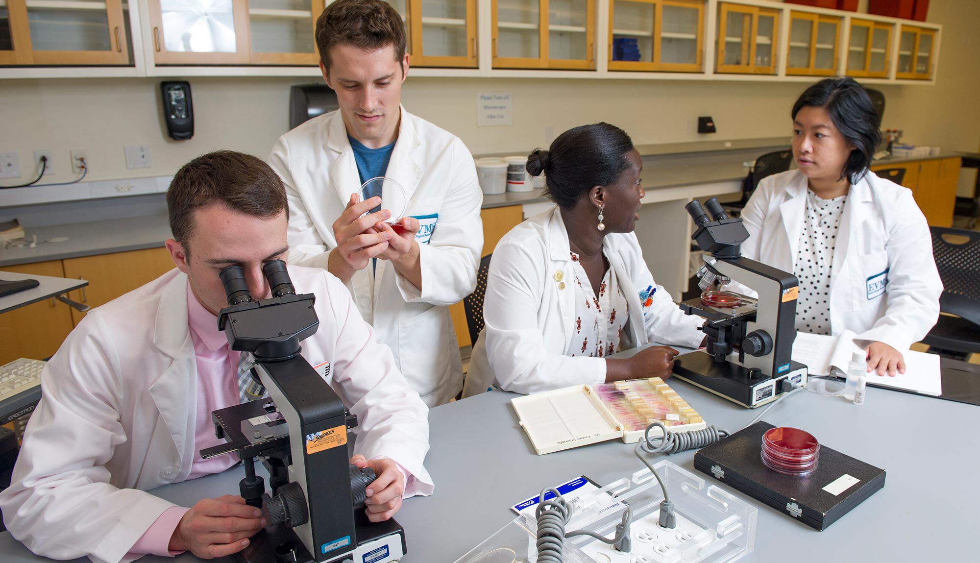 MD students work together in a lab.