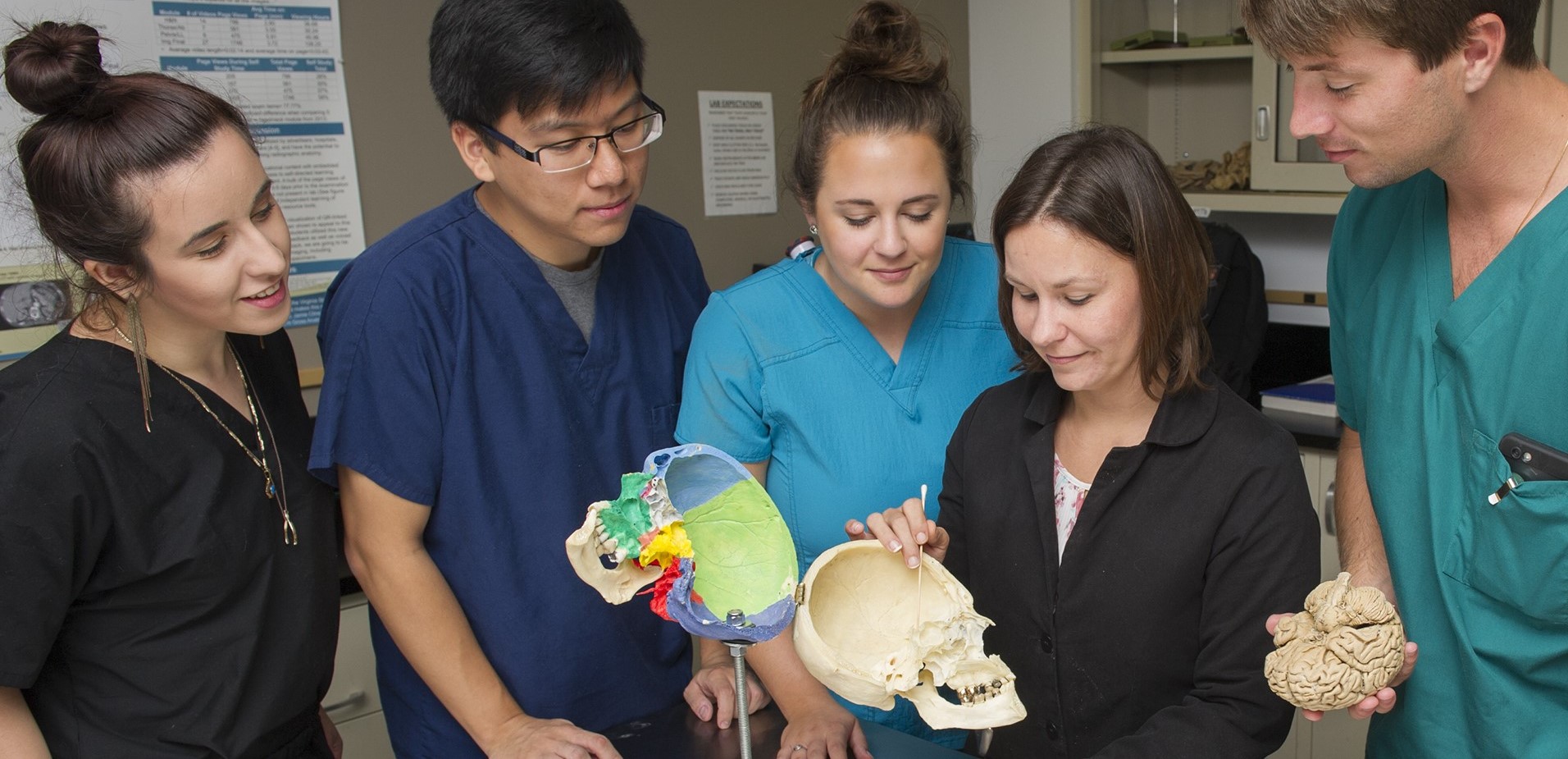 Instructor shows students model of a skull