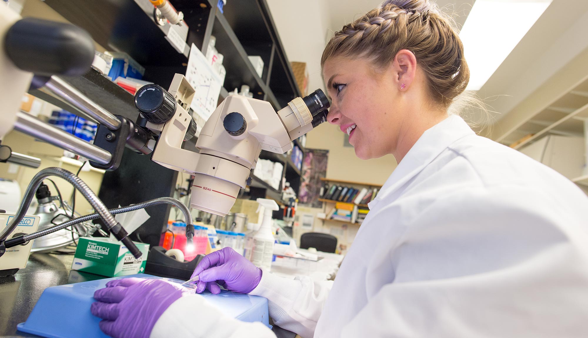 A student studies a sample under a microscope in the lab.