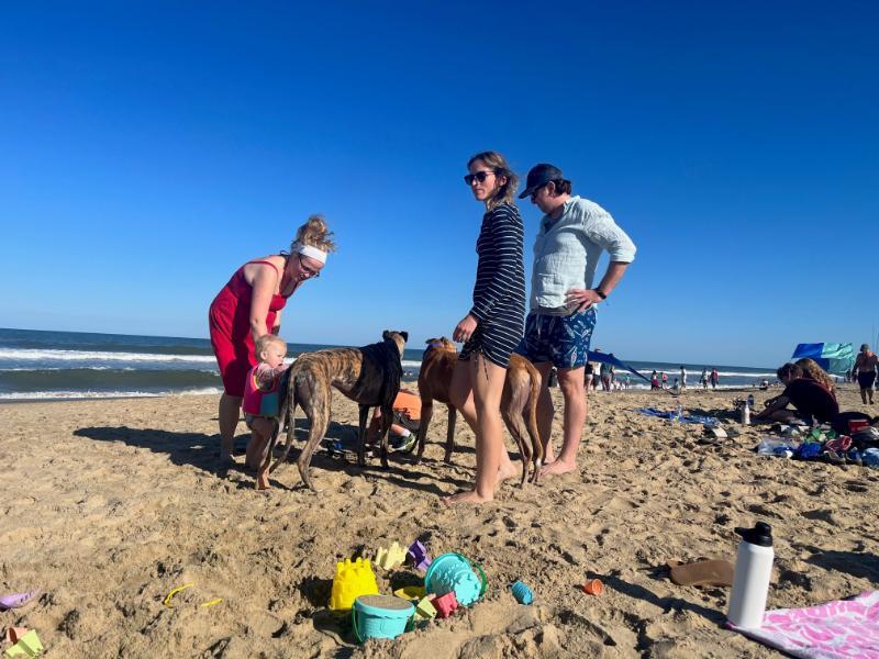 A group of people standing on the sand at the beach. A woman is holding hands with a toddler, who is petting a Greyhound dog. The dog is standing next to a man and a woman in bathing suits. In the foreground are sand toys and a water bottle. The background shows a clear blue sky, with the Atlantic ocean and waves breaking upon the shore.