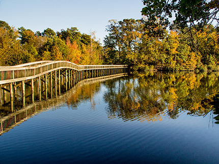 A wooden pedestrian bridge crosses a lake toward autumn trees