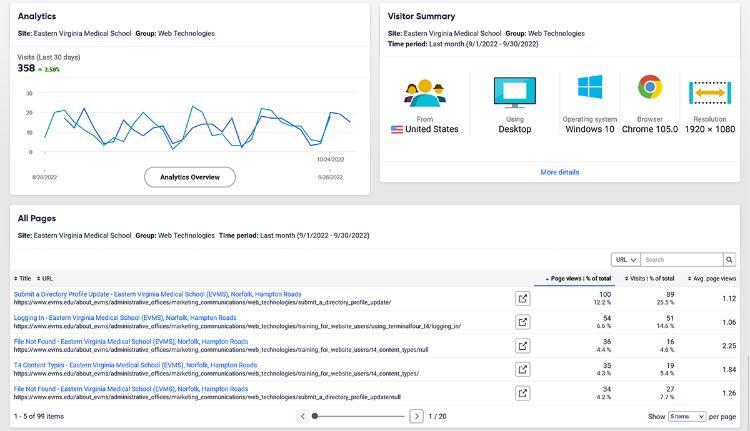 Screenshot of the Analytics section of a Website Overview report.