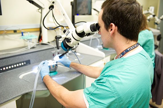 A resident studies in the Temporal Bone Lab