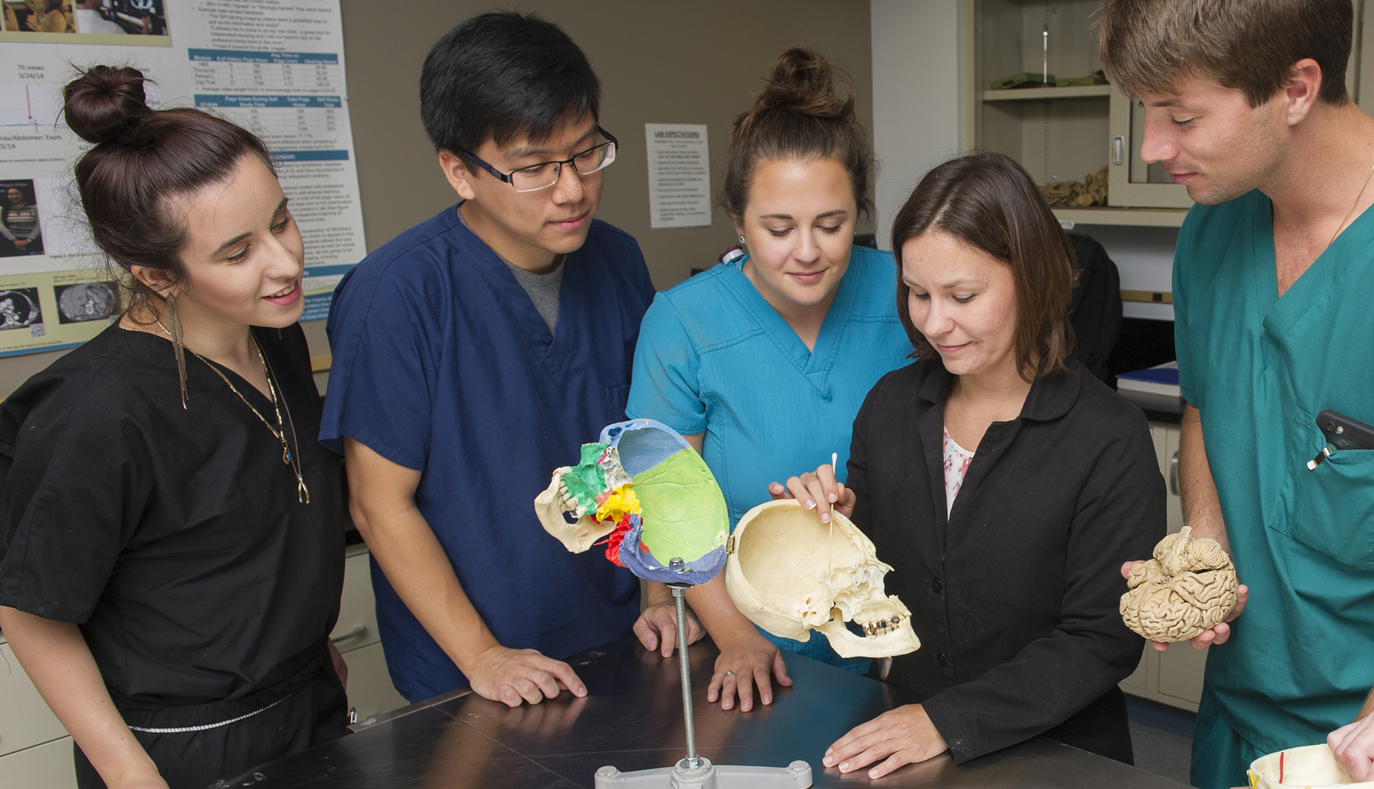 Dr. Carrie Elzie and students examine an anatomy model of the skull.