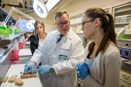 Dr. Alberto Musto talks with students in the lab.