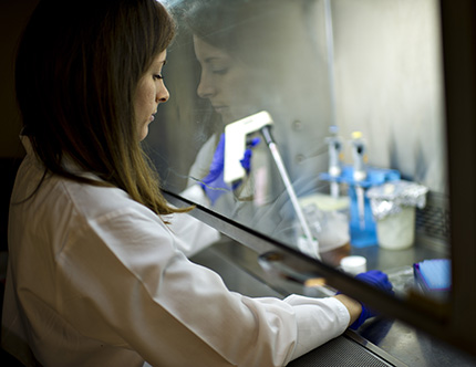 A basic science researcher in the lab.