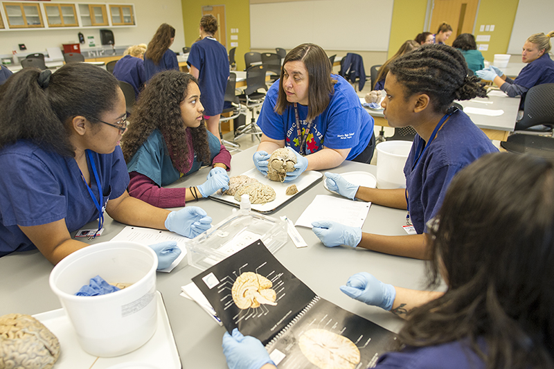 A 30-year partnership creates unique opportunities for high-school students considering the health professions.