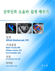 Ultrasound ebook cover Korean