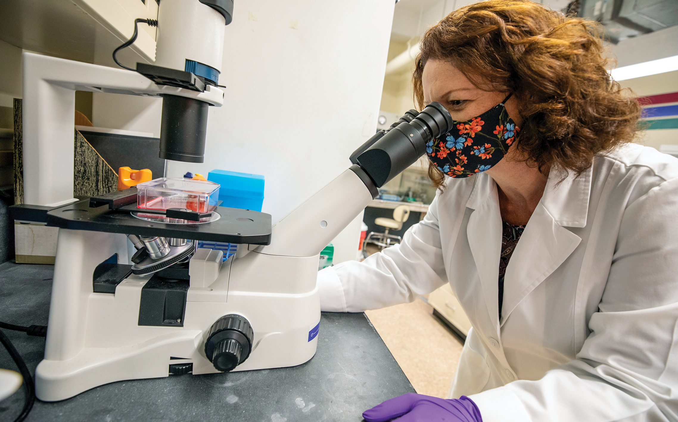 Julia Sharp looks through a microscope while working in her research lab. She is wearing a face mask and gloves.