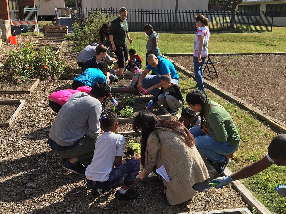 Young at Heart club gardening