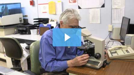 Still from the Troyer video