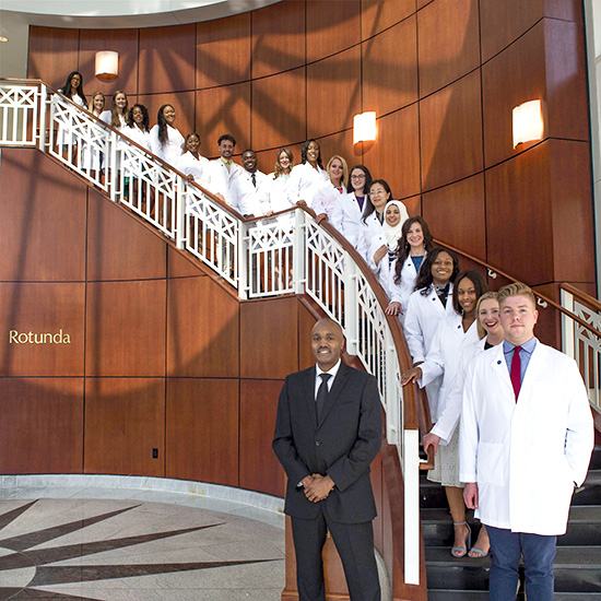 SA White Coat coverage
