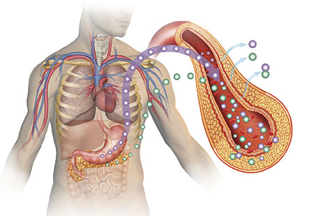 EVMS physicians are “Top Docs”