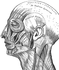 EVMS William & Mary program