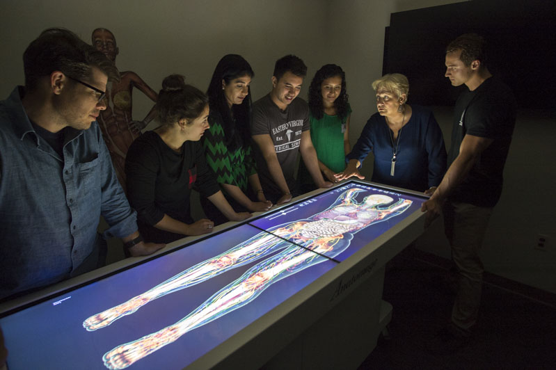 A professor stands with her students in the digital dissection lab.