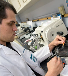 Researcher working in lab
