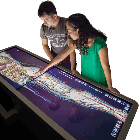 Students using the interactive contemporary human anatomy table