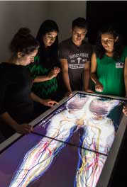 Students gathered around the virtual dissection table